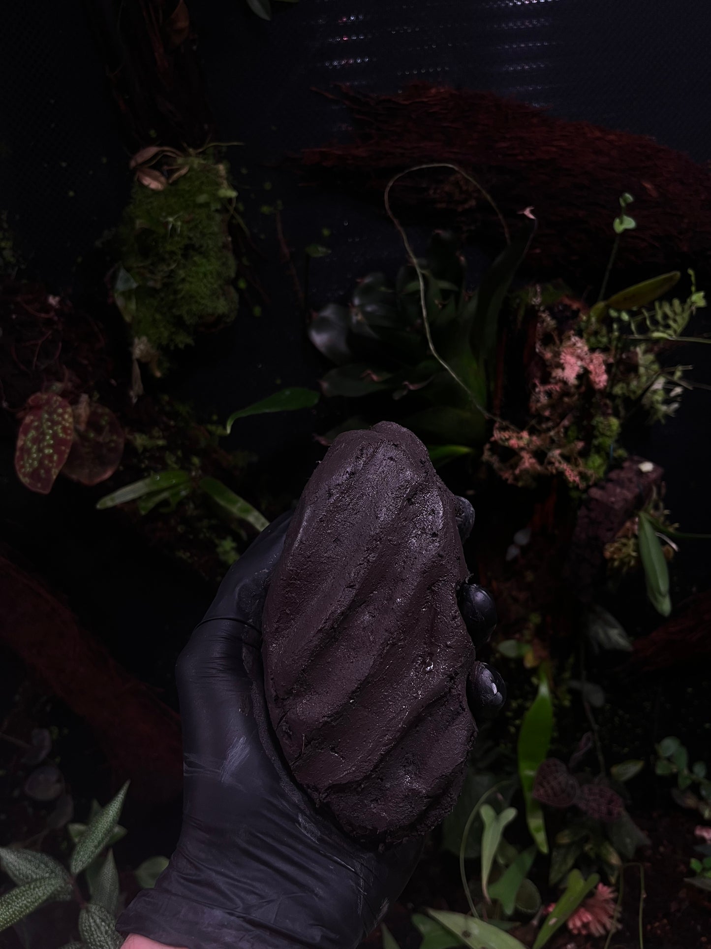 Sticky Soil 500gr sec