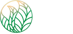 Plant leaf shop