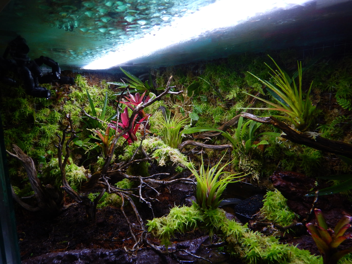 Materiel (Eclairage led / Sticky soil/  Xaxim etc )