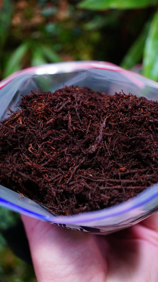 Xaxim en poudre 1litre