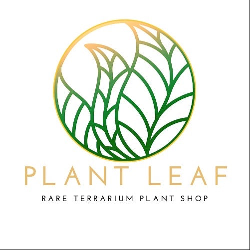 Carte-cadeaux 100€