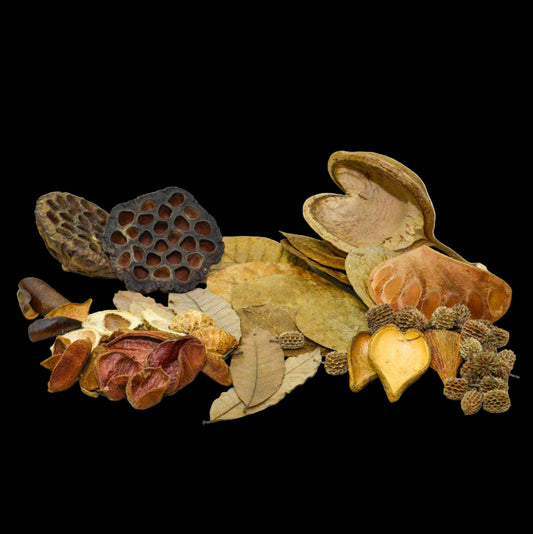 KIT BIOTOPE ASIATIQUE